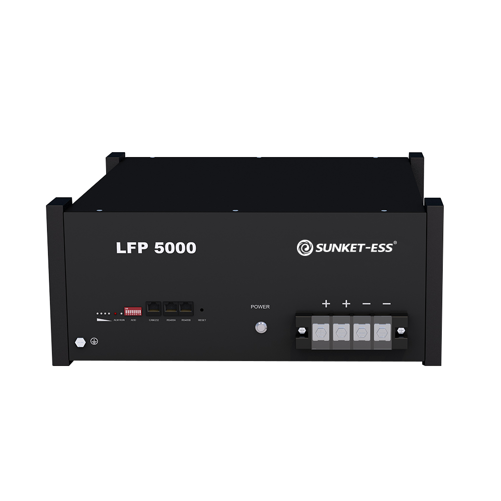 Low Voltage Energy Storage LFP5000 (4)