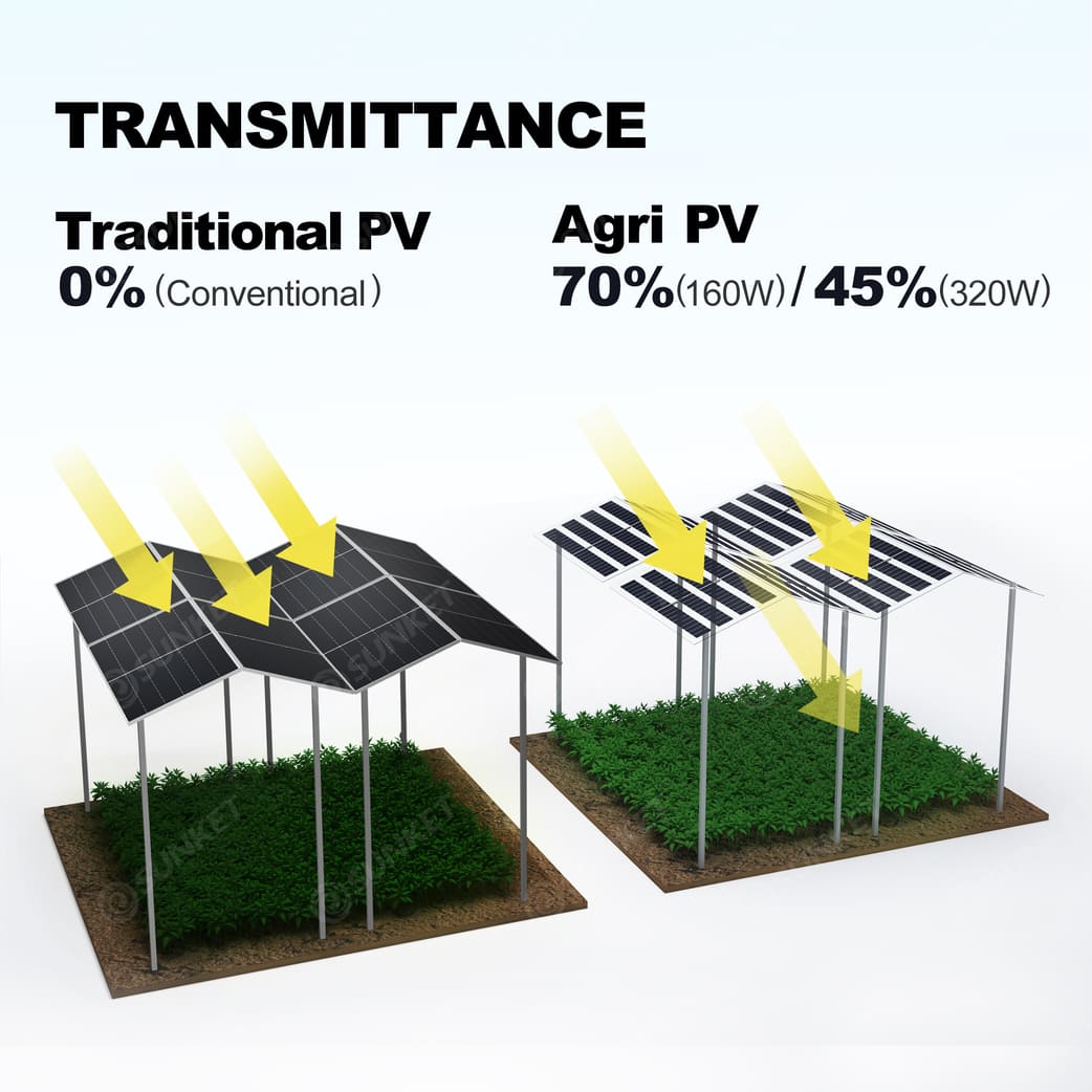 Advantages of Sunket AGRI-PV​ (7)